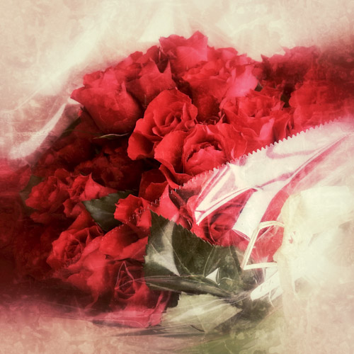 bloemenhoudenvanmensen.nl || 80 rode rozen || project 365 || © Mieke de Weert80-rode-rozen